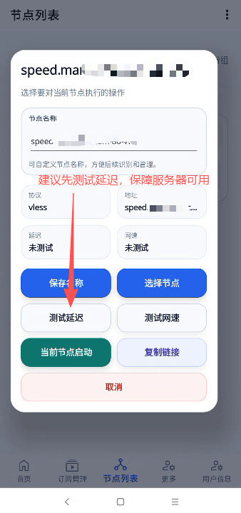 测试自备节点